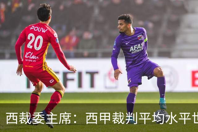 西裁委主席：西甲裁判平均水平世界最佳，误判难免